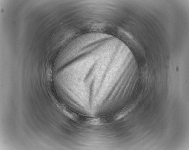 X0000087550083200705112132