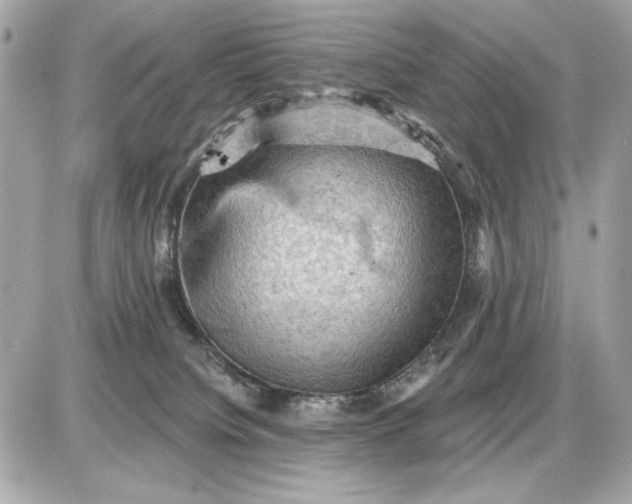 X0000087550084200705112132