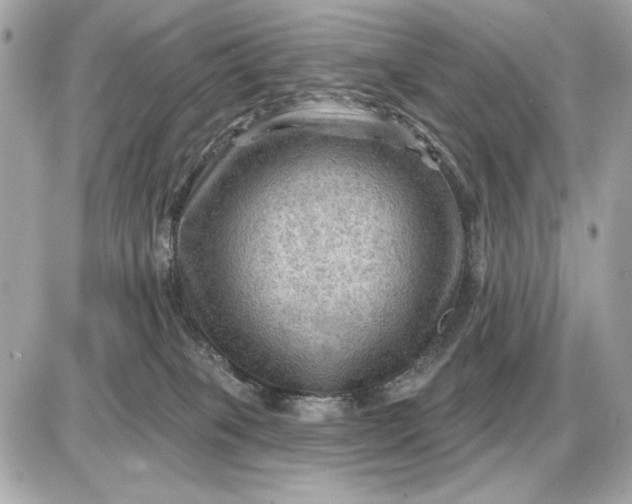 X0000087550085200705112132