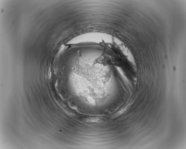 X0000087550086200705112132