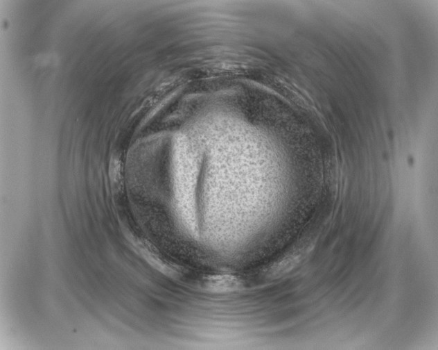 X0000087550087200705112132