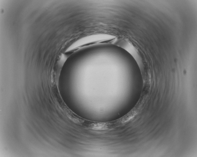 X0000087550088200705112132