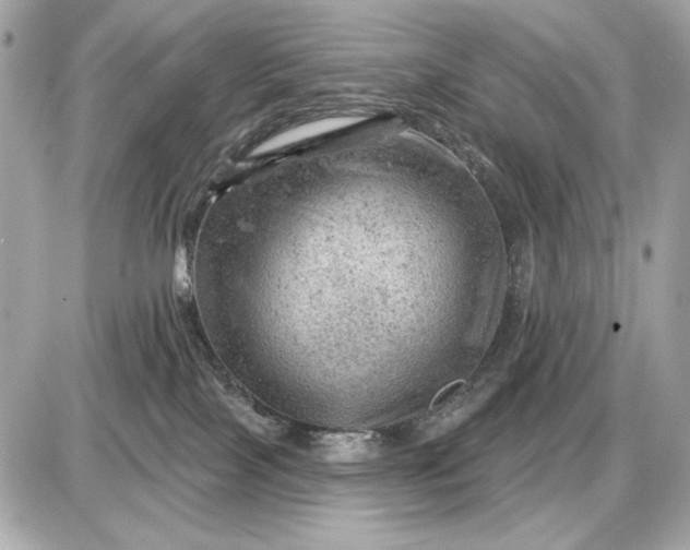 X0000087550089200705112132