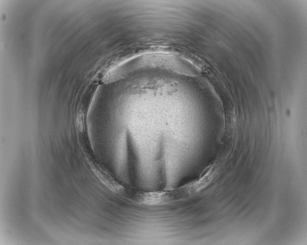 X0000087550090200705112132