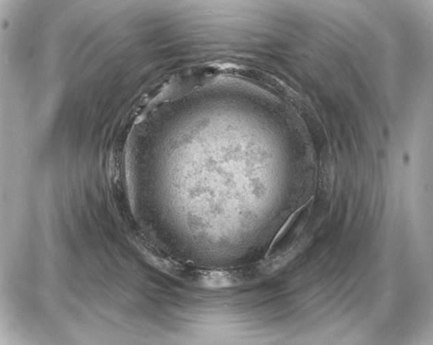 X0000087550091200705112132