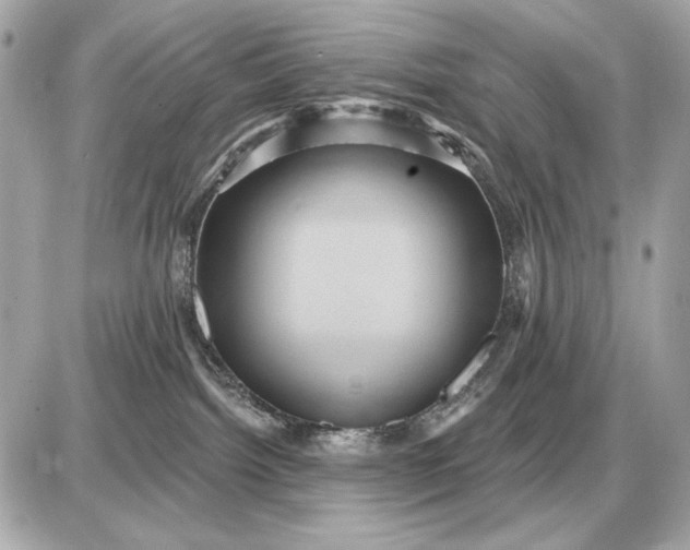 X0000087550092200705112132