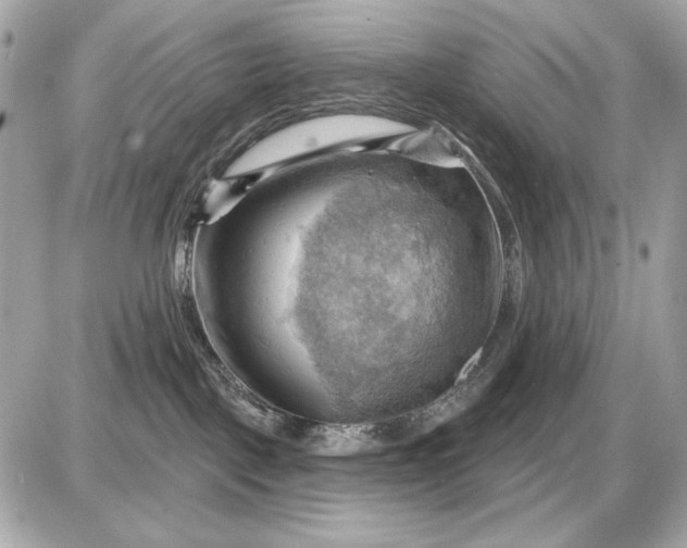 X0000087550093200705112132