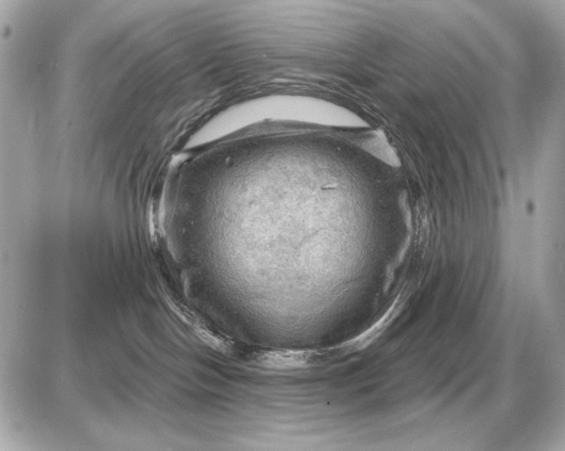 X0000087550094200705112132