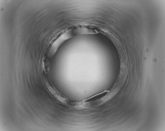 X0000087550096200705112132