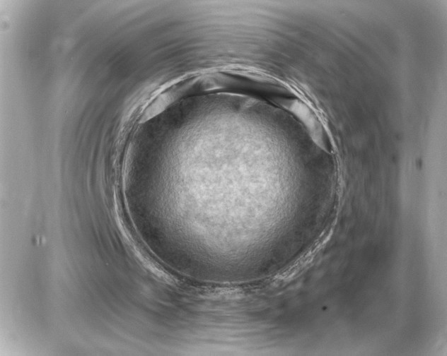 X0000087550097200705112131