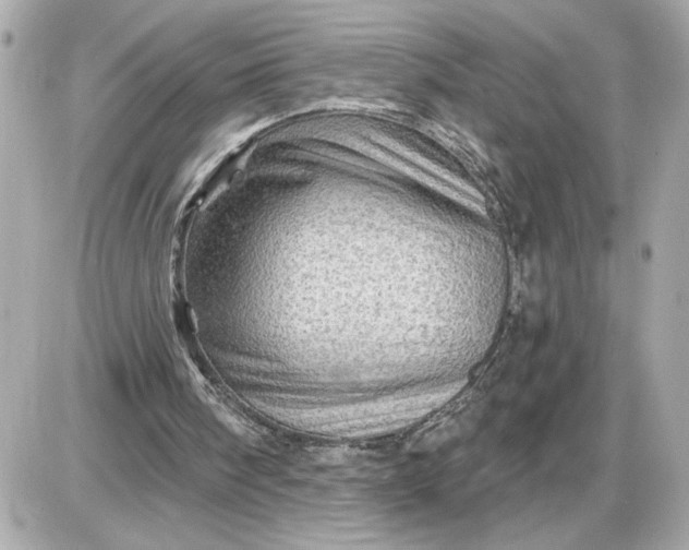 X0000087550098200705112131