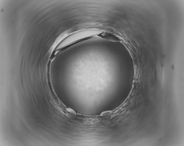 X0000087550099200705112131