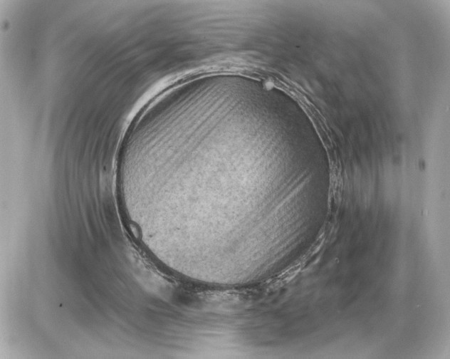 X0000087550100200705112131