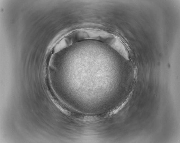 X0000087550101200705112131