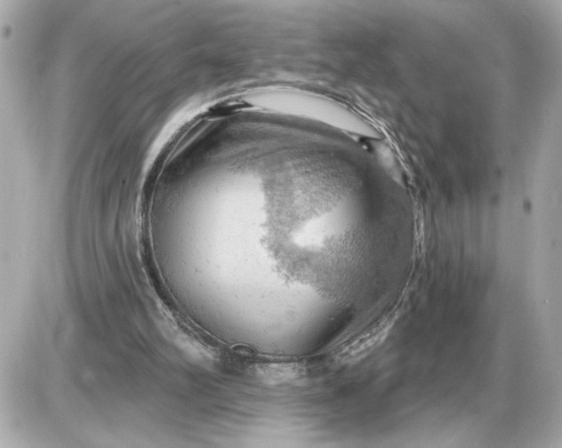 X0000087550102200705112131