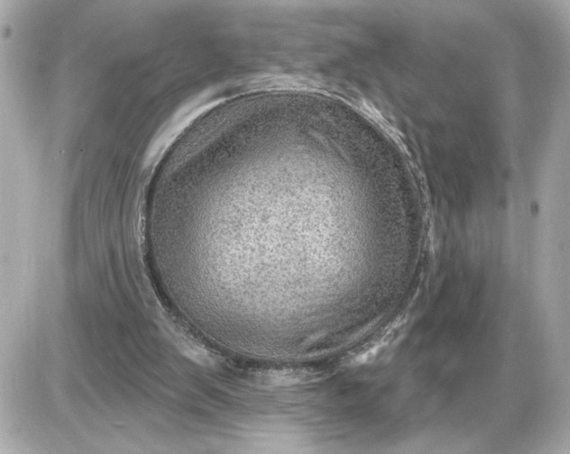 X0000087550103200705112131