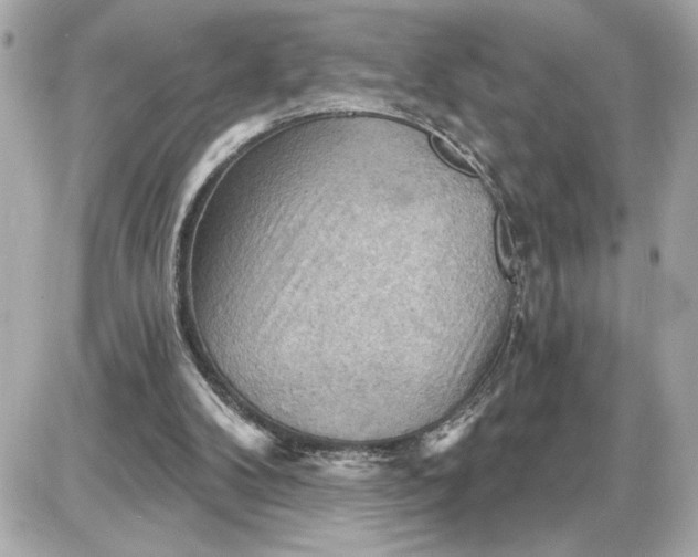 X0000087550104200705112131