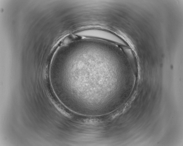 X0000087550105200705112131