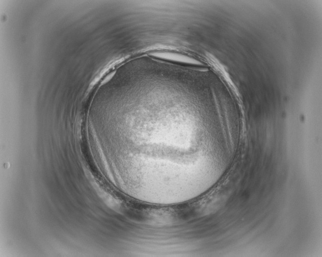 X0000087550106200705112131