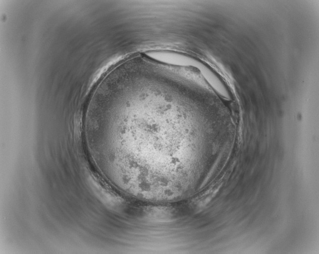 X0000087550107200705112131