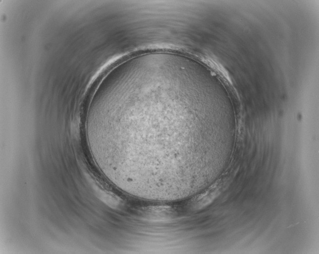 X0000087550108200705112131