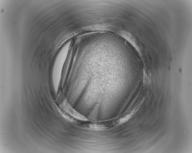 X0000087550109200705112131