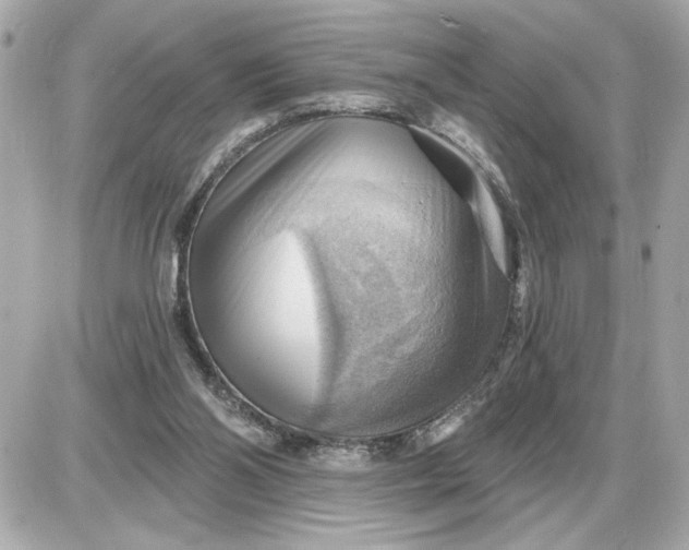 X0000087550110200705112131