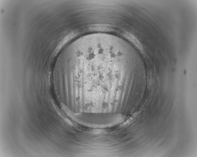 X0000087550111200705112131