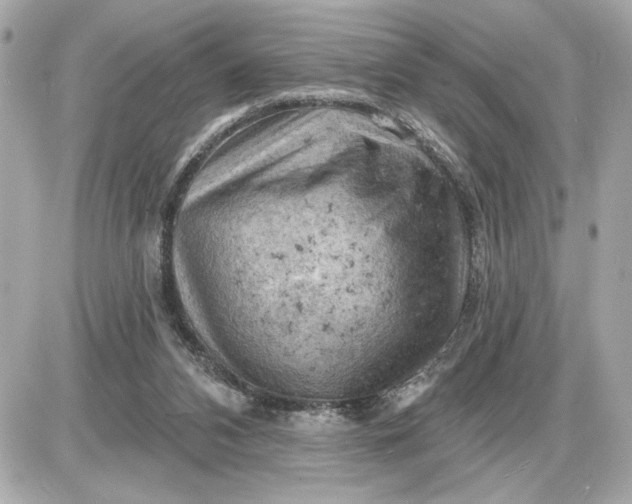 X0000087550112200705112131