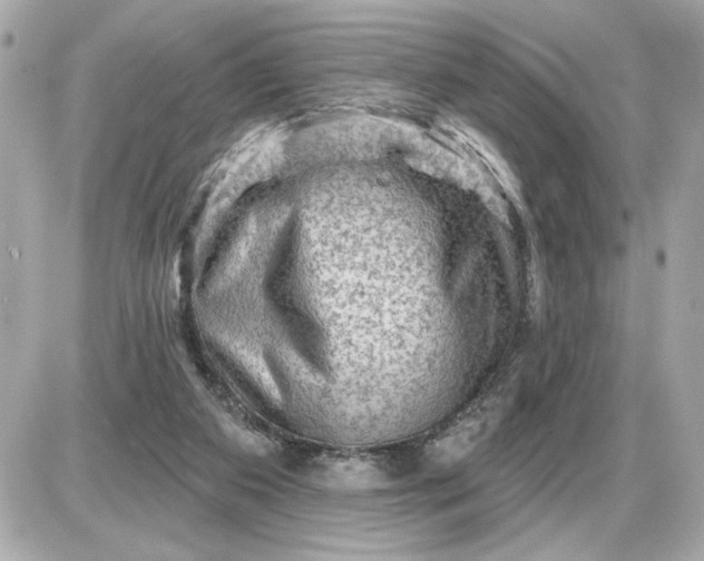 X0000087550113200705112131