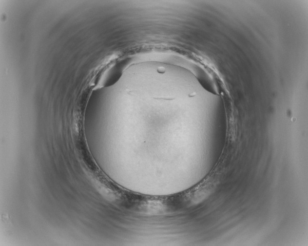 X0000087550114200705112131