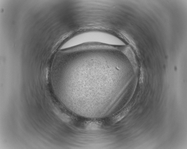 X0000087550115200705112131