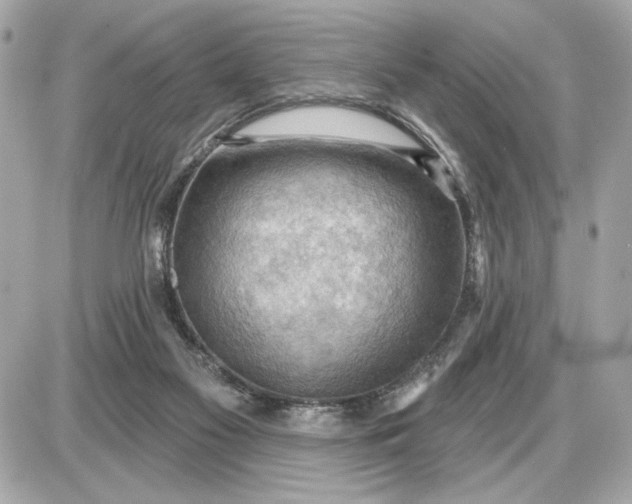 X0000087550117200705112131