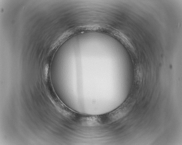 X0000087550118200705112131