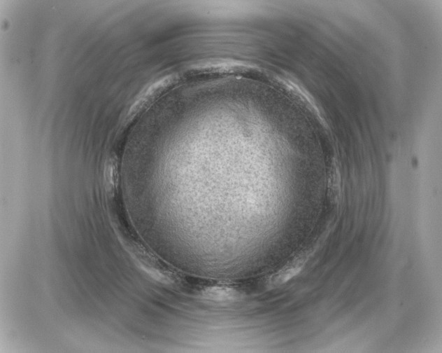 X0000087550119200705112131