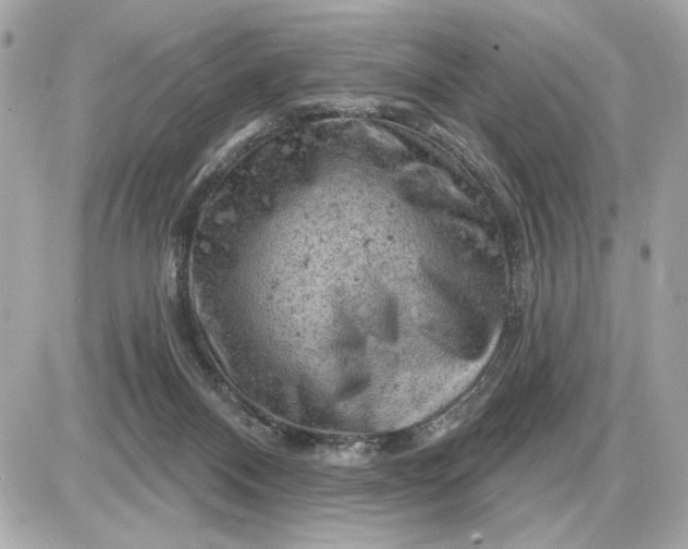 X0000087550120200705112131