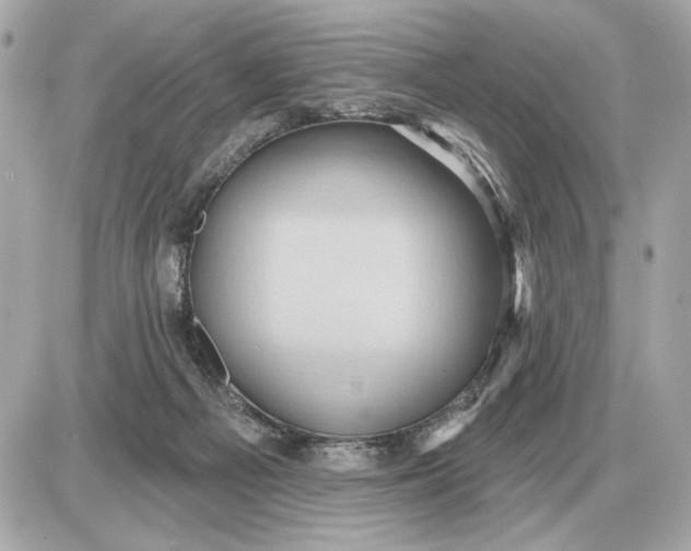 X0000087550121200705112131