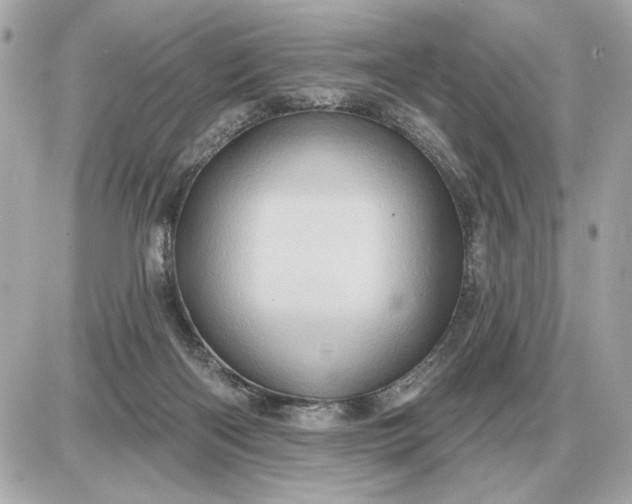 X0000087550122200705112131