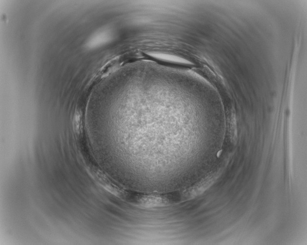 X0000087550123200705112131