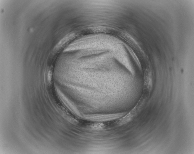 X0000087550124200705112131