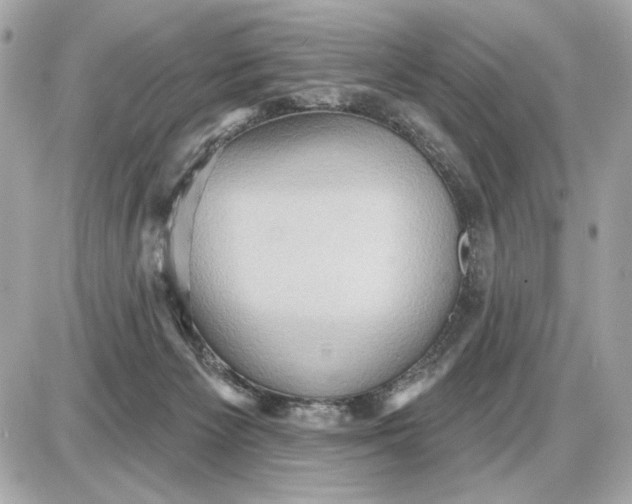 X0000087550125200705112131