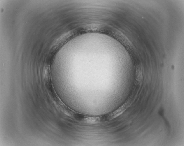 X0000087550126200705112131