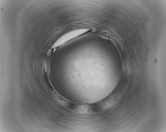 X0000087550127200705112131