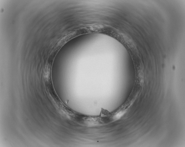 X0000087550129200705112131