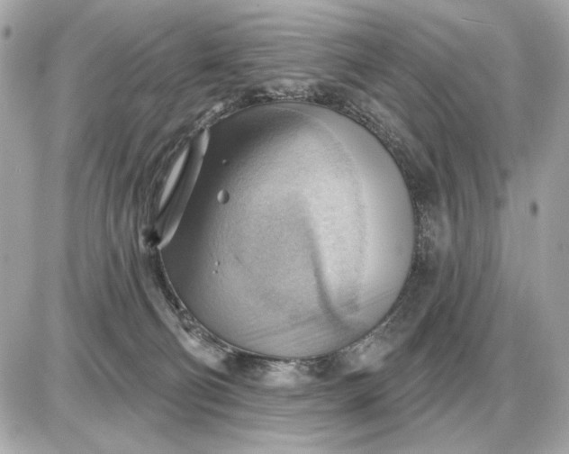 X0000087550130200705112131