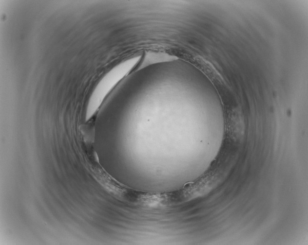 X0000087550131200705112131