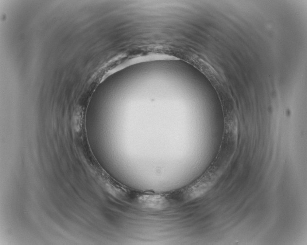 X0000087550133200705112131