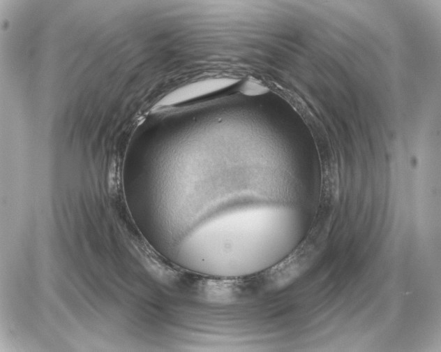 X0000087550134200705112131