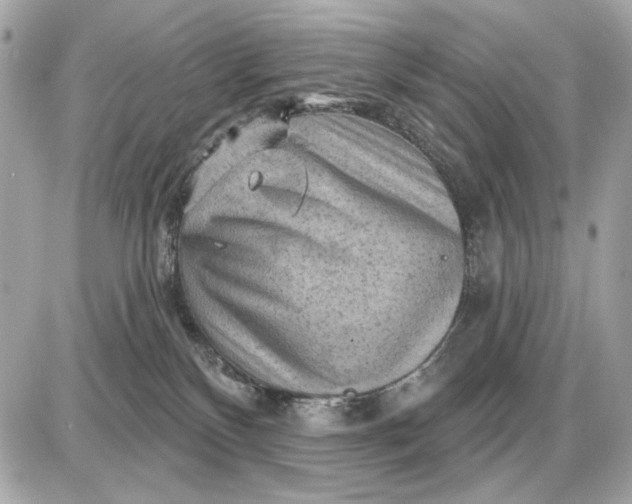 X0000087550136200705112131