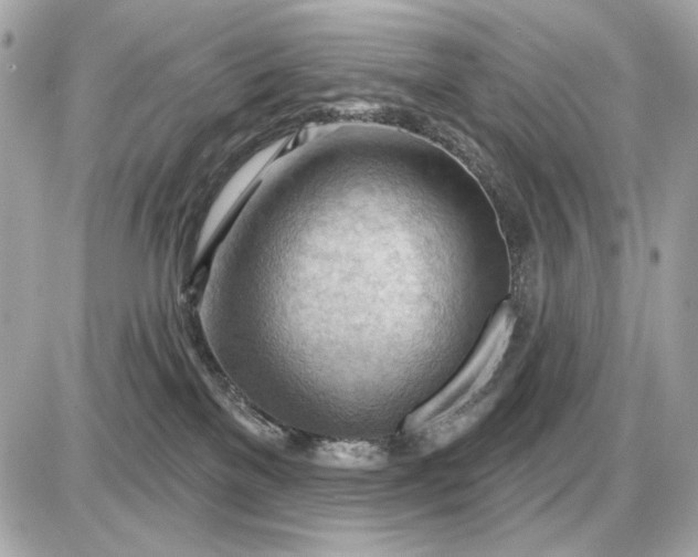 X0000087550137200705112131